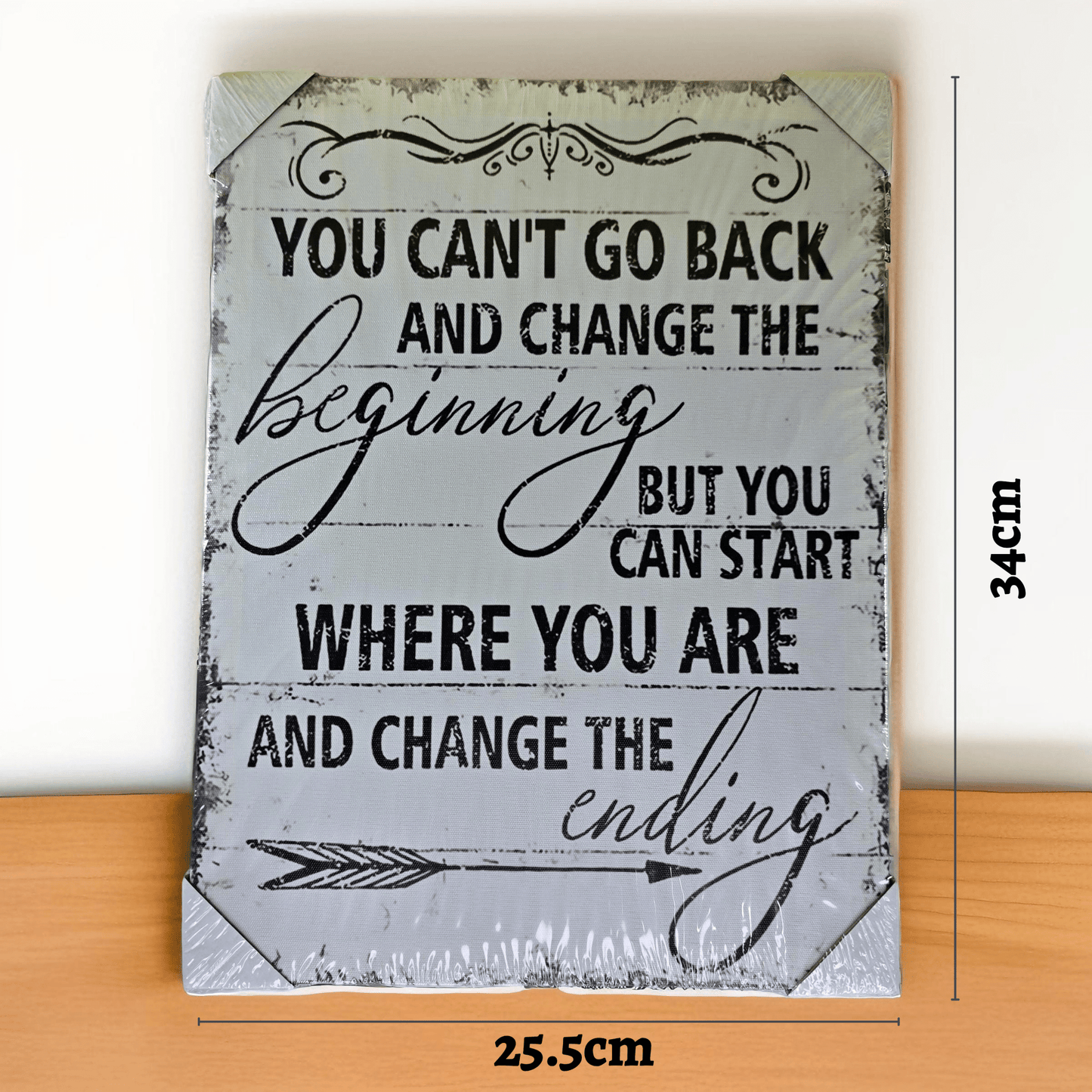 Black & White Inspirational Wall Art - "You cant go back and change the beginning - Semicolon Sentiments