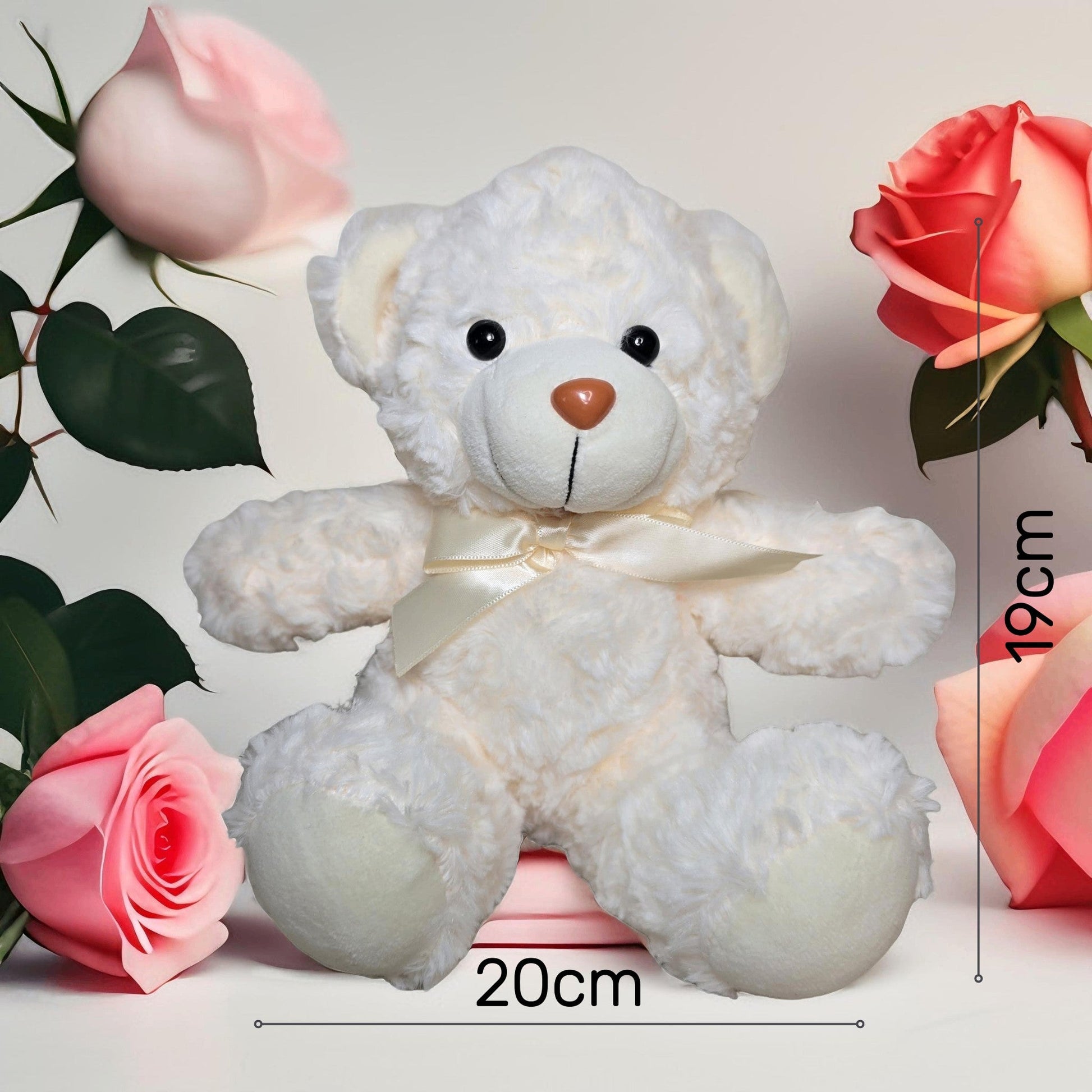 Valentine Bear with Message - Semicolon Sentiments