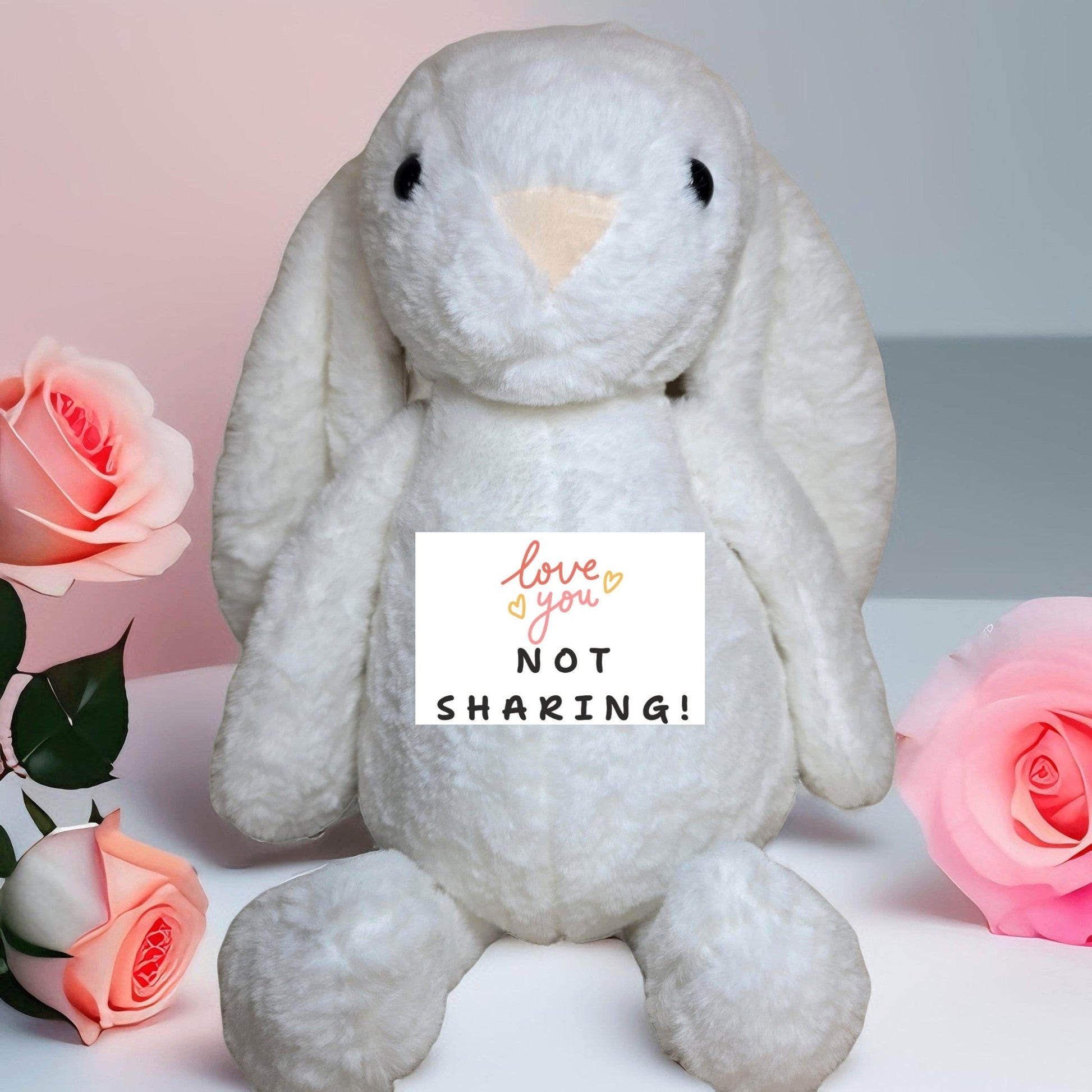 Valentine Bunny with Message - Semicolon Sentiments