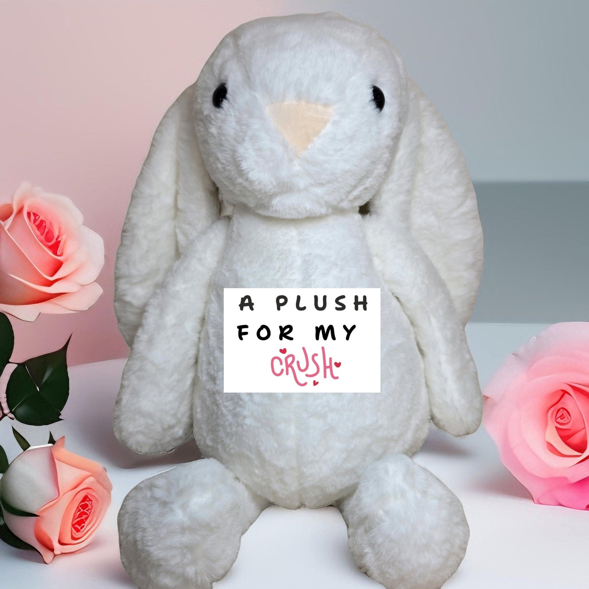 Valentine Bunny with Message - Semicolon Sentiments